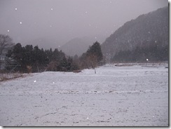 IMG_1836_1
