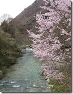 IMG_4085_1