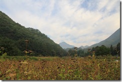 IMG_2789