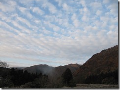 IMG_4480