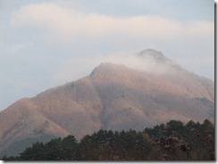 IMG_4481
