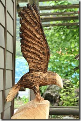IMG_5390 IMG_5390
