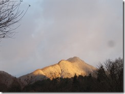 IMG_8839