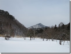 IMG_8919
